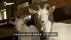 Фермер восстанавливает разрушенное хозяйство под Киевом: во время оккупации там стояли российские военные Фермер восстанавливает разрушенное хозяйство под Киевом: во время оккупации там стояли российские военные