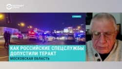 Федоров: "В российской терминологии есть некие исполнители и есть те, кого они называют "кукловодами"" Федоров: "В российской терминологии есть некие исполнители и есть те, кого они называют "кукловодами""