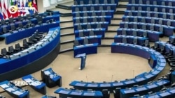 В странах ЕС стартовали выборы в Европарламент В странах ЕС стартовали выборы в Европарламент