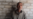 16x9 Image