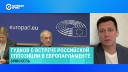 Дмитрий Гудков – о том, как уехавшие из России оппозиционеры выстраивают отношения с Европой Дмитрий Гудков – о том, как уехавшие из России оппозиционеры выстраивают отношения с Европой