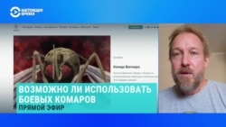 Ученый развенчивает мифы пропаганды в росСМИ об использовании Украиной боевых комаров и саранчи Ученый развенчивает мифы пропаганды в росСМИ об использовании Украиной боевых комаров и саранчи