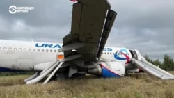 Самолет "Уральских авиалиний" сел в поле в Новосибирской области Самолет "Уральских авиалиний" сел в поле в Новосибирской области