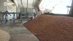 "Это горе для всех, но нужно пережить". Украинские фермеры не могут продать зерно из-за обстрелов Россией черноморских портов "Это горе для всех, но нужно пережить". Украинские фермеры не могут продать зерно из-за обстрелов Россией черноморских портов