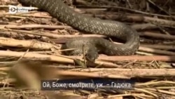 Афанасьевка в Николаевской области затоплена после прорыва дамбы Каховской ГЭС: спецрепортаж Афанасьевка в Николаевской области затоплена после прорыва дамбы Каховской ГЭС: спецрепортаж