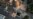 16x9 Image