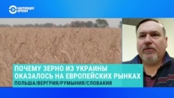 Почему зерно из Украины оказалось на европейских рынках – объясняет эксперт Почему зерно из Украины оказалось на европейских рынках – объясняет эксперт