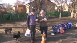 Семейная пара в Запорожской области ухаживает за брошенными животными – репортаж Настоящего Времени  Семейная пара в Запорожской области ухаживает за брошенными животными – репортаж Настоящего Времени