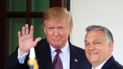 Главное: Орбан едет к Трампу Главное: Орбан едет к Трампу