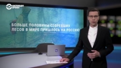 Россия – мировой лидер по лесным пожарам – снова в огне
 Россия – мировой лидер по лесным пожарам – снова в огне
