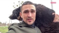 "Он вообще не умеет ходить на поводке": дрессировщик Андрея Долженко спасает брошенных из-за войны животных "Он вообще не умеет ходить на поводке": дрессировщик Андрея Долженко спасает брошенных из-за войны животных