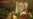 16x9 Image