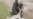 16x9 Image