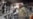 16x9 Image