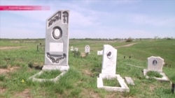 Кладбища домашних животных окружают Красноярск Кладбища домашних животных окружают Красноярск