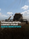 "Может это последний год, когда мы собираем урожай": украинские фермеры работают, несмотря на наступление России "Может это последний год, когда мы собираем урожай": украинские фермеры работают, несмотря на наступление России