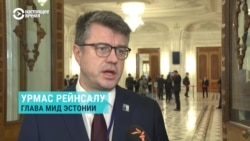 Помогать Украине без "политических предохранителей". Интервью главы МИД Эстонии Урмаса Рейнсалу
 Помогать Украине без "политических предохранителей". Интервью главы МИД Эстонии Урмаса Рейнсалу