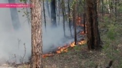 На Ольхоне бушуют лесные пожары На Ольхоне бушуют лесные пожары