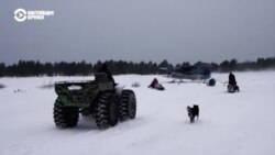 Признаки жизни: зима в Летней Золотице
 Признаки жизни: зима в Летней Золотице
