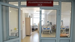Власти Кыргызстана советуют лечить коронавирус отваром из корня ядовитого растения аконит Власти Кыргызстана советуют лечить коронавирус отваром из корня ядовитого растения аконит