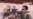 16x9 Image