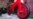 16x9 Image