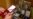 16x9 Image