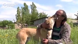 "С первого взгляда я решил: какая геройская собака!" "С первого взгляда я решил: какая геройская собака!"