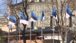 Парламентские выборы в Эстонии: чем отличаются программы лидеров предвыборной гонки Парламентские выборы в Эстонии: чем отличаются программы лидеров предвыборной гонки