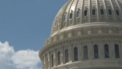 Главные победители выборов в США Главные победители выборов в США