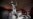 16x9 Image