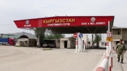 Киргизский тутовник против правил ЕАЭС Киргизский тутовник против правил ЕАЭС