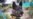 16x9 Image