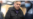 ГКНБ Кыргызстана заявил об аресте активов криминального авторитета Камчы Кольбаева почти на $1 млрд