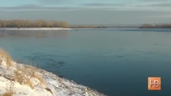 Смертоносная золотая жила Смертоносная золотая жила