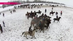 Кыргызстан возрождает козлодрание Кыргызстан возрождает козлодрание