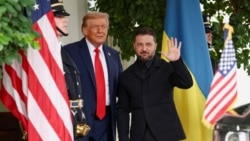 Костюм Зеленского, загар канцлера, звонок Путину. Подробности о встрече в Белом доме Костюм Зеленского, загар канцлера, звонок Путину. Подробности о встрече в Белом доме