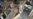 16x9 Image