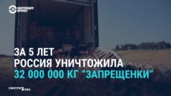 Продуктовые контрсанкции: как россиянам о них рассказывали в 2014 году Продуктовые контрсанкции: как россиянам о них рассказывали в 2014 году