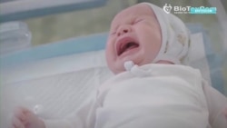 Родители не могут забрать полсотни суррогатных младенцев из Киева Родители не могут забрать полсотни суррогатных младенцев из Киева