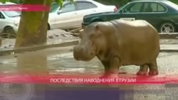 Наводнение в Грузии 14 июня Наводнение в Грузии 14 июня