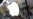 ФАС оштрафовала Apple на $12 млн "за злоупотребление доминирующим положением" по заявлению "Лаборатории Касперского"