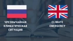 В мире выбрали главные слова 2019 года В мире выбрали главные слова 2019 года