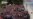 16x9 Image
