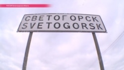 Фаллические леденцы и мироточащий Ленин: как Светогорск получил славу "города без геев" Фаллические леденцы и мироточащий Ленин: как Светогорск получил славу "города без геев"