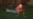 16x9 Image