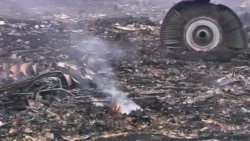 Доклад Нидерландов по MH17 вряд ли будет исчерпывающим - эксперт Доклад Нидерландов по MH17 вряд ли будет исчерпывающим - эксперт