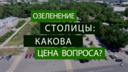 Саженцы раздора. Почему активисты обвинили власти Бишкека в закупке деревьев по завышенной в 50 раз цене Саженцы раздора. Почему активисты обвинили власти Бишкека в закупке деревьев по завышенной в 50 раз цене