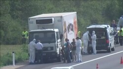 В грузовике на востоке Австрии найдены тела 50 беженцев из Сирии В грузовике на востоке Австрии найдены тела 50 беженцев из Сирии