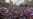 Регистрируете – прекращаем акции. В Москве на митинге независимые кандидаты озвучили властям свои условия